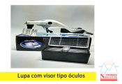 Lupa